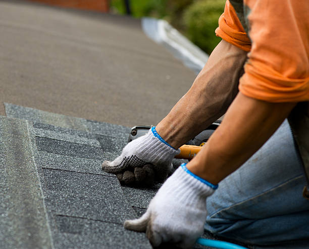 Best Local Roofing Companies  in Poynette, WI